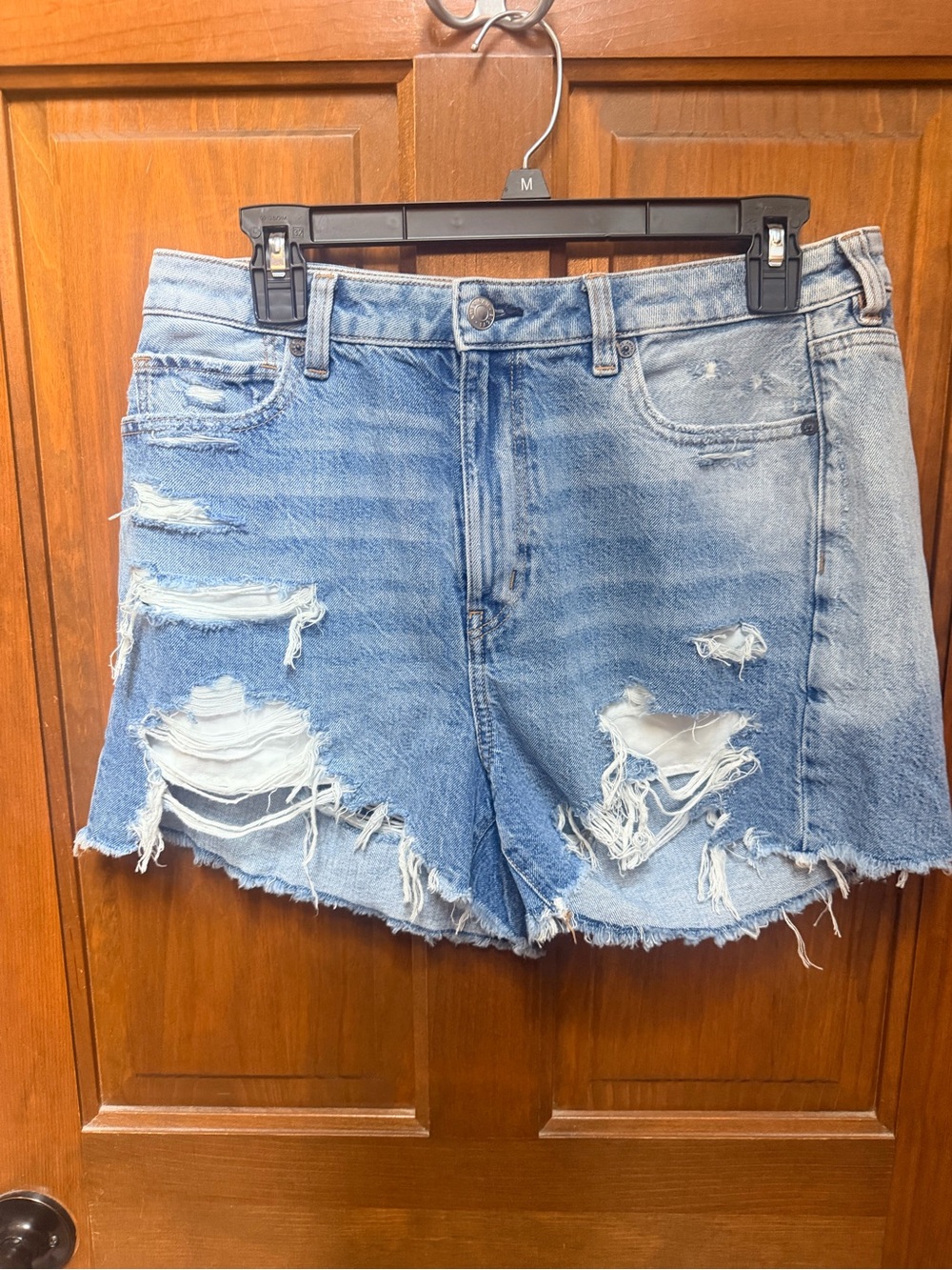 American Eagle Outfitters Distressed Light Blue Denim Cutoff Shorts